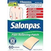 Salonpas Pain Relieving Patch (60-Count)
